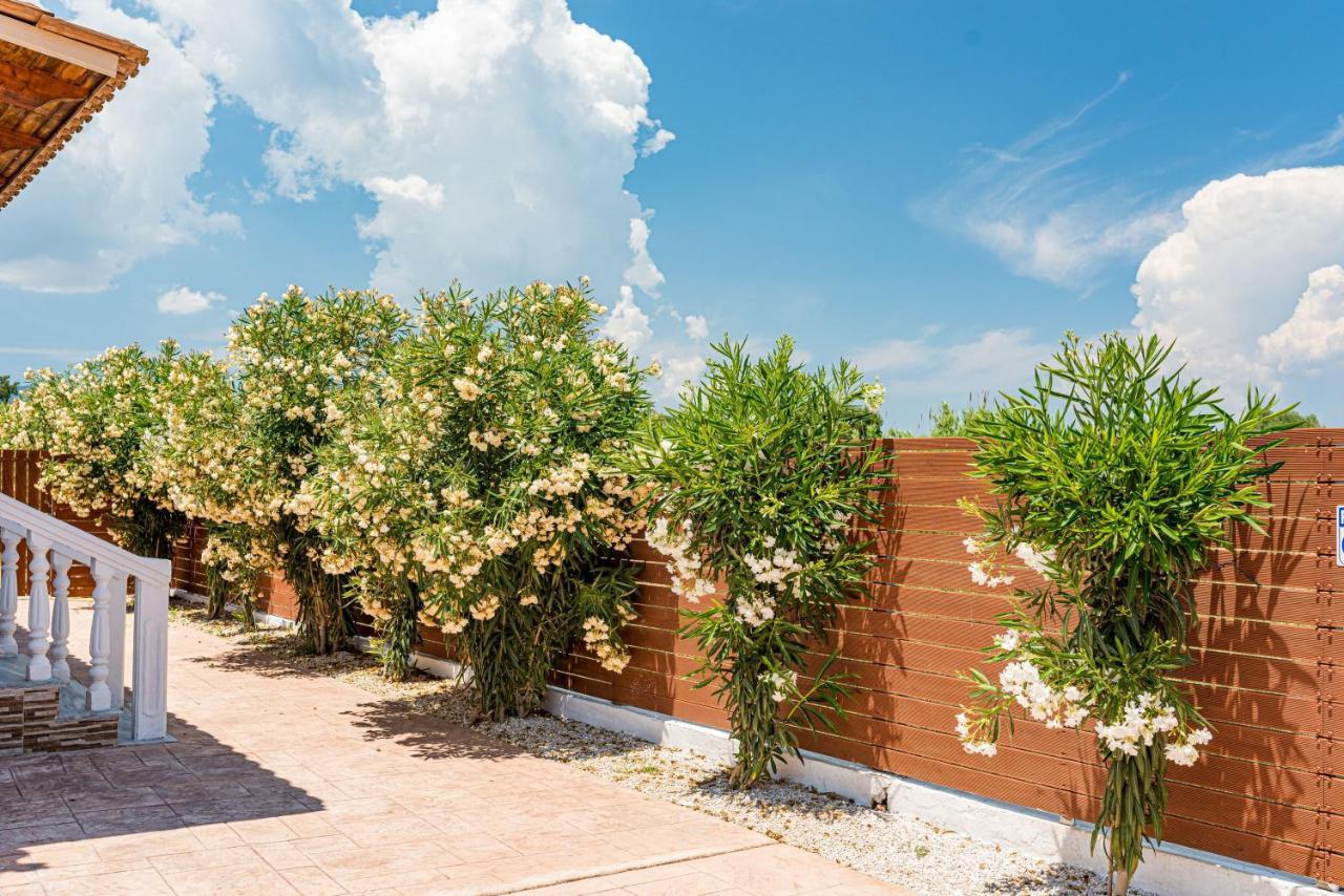 Blossom Villa Laganas Esterno foto
